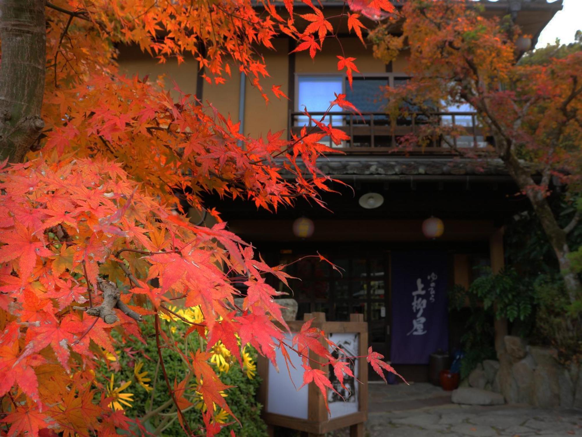 Hotel Yunohira Kamiyanagiya Yufu Zewnętrze zdjęcie